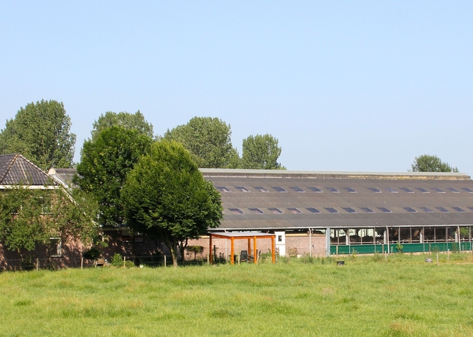 Melkveehouderijbedrijf te koop : Laageinde 18, 4016 CV Kapel Avezaath Buren