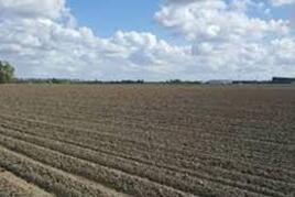 Losse grond te koop : Grond gevraagd