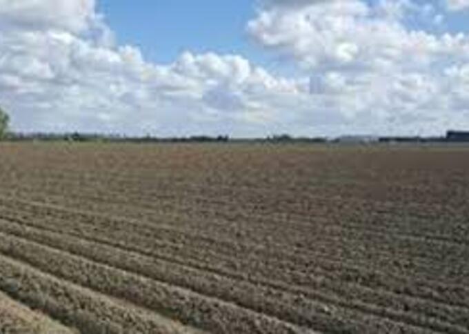 Losse grond te koop : Grond gevraagd