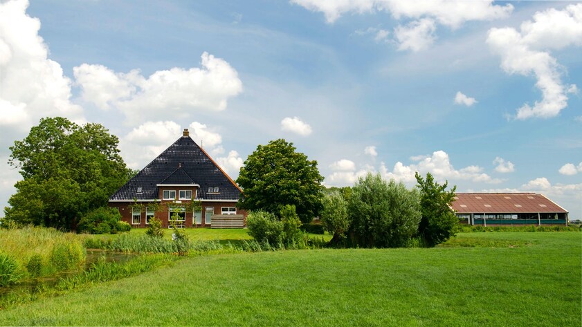 Woonboerderij te Goenga friesland nabij watersportstad Sneek