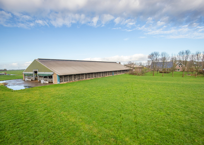 Melkveehouderijbedrijf te koop in Friesland: Overijsselsestraatweg 5, Reduzum