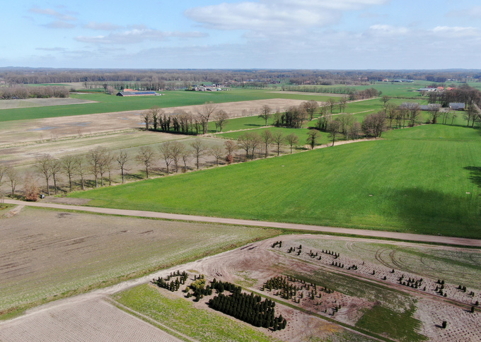 Losse grond te koop : Hanenweg te Saasveld