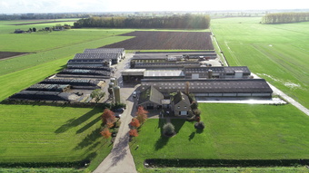 Hoofdfoto, Dorpsstraat 2 Meeuwen.JPG