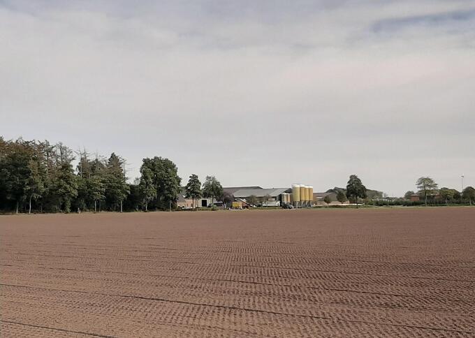 Varkensbedrijf te koop : Houwendijk 9, Arendonk, België