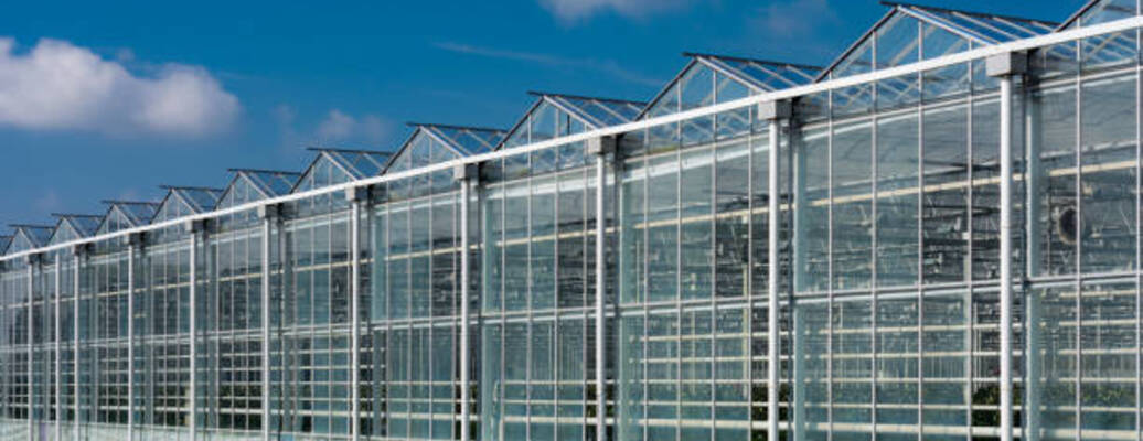 Perspective view of modern greenhouses in the sun