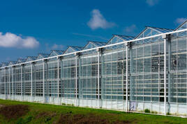 Tuinbouwbedrijf te koop in Noord-Brabant: Breestraat 20, Sint Anthonis Glastuinbouw