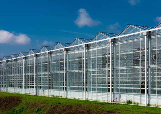 Tuinbouwbedrijf te koop in Noord-Brabant: Breestraat 20, Sint Anthonis Glastuinbouw