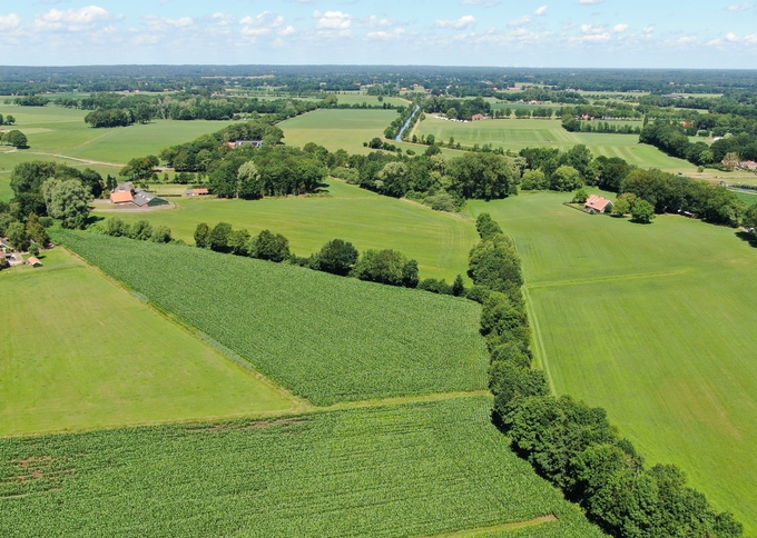 Losse grond te koop in Overijssel: Landbouwgrond Denekamp