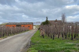 Boerderij Te Koop Zeeland | Bekijk Het Aanbod Van Agriteam