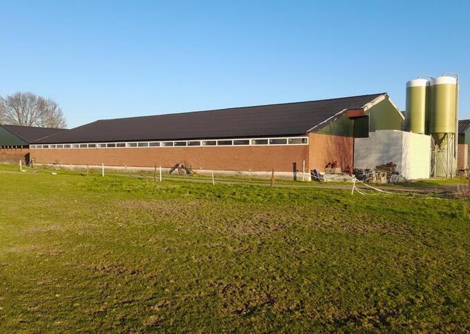 Varkensbedrijf te koop in Noord-Brabant: Dorsheseweg 1, Haps