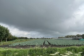 Losse grond te koop in Noord-Holland: 2.41.70 ha kleigrond te Hensbroek