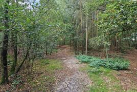 Losse grond te koop in Noord-Brabant: Borkel en Schaft, Valkenswaard