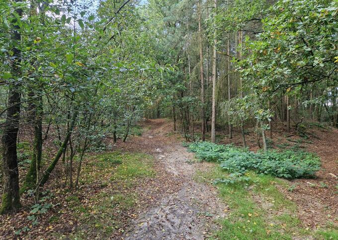 Losse grond te koop in Noord-Brabant: Borkel en Schaft, Valkenswaard