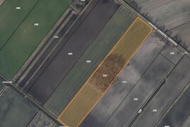 Losse grond te koop in Drenthe: Akkerbouwgrond/bosgrond Odoornerveen