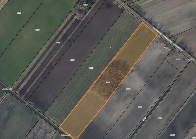 Losse grond te koop in Drenthe: Akkerbouwgrond/bosgrond Odoornerveen