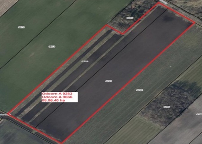 Losse grond te koop in Drenthe: Cultuurgrond Achterweg Odoornerveen