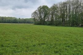 Losse grond te koop in Limburg: Blenkert, Roggel