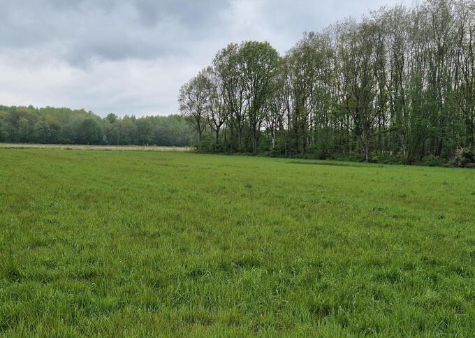 Losse grond te koop in Limburg: Blenkert, Roggel