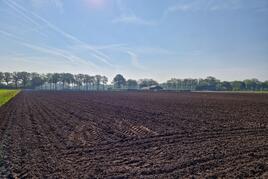 Losse grond te koop in Noord-Brabant: Neterselseweg, Bladel