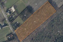 Losse grond te koop in Drenthe: Perceel bosgrond te Schoonoord