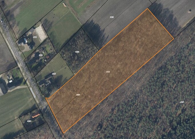 Losse grond te koop in Drenthe: Perceel bosgrond te Schoonoord