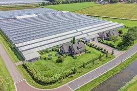 Tuinbouwbedrijf te koop in Noord-Holland: Glastuinbouwbedrijf Altongebied Heerhugowaard