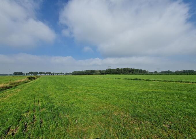 Losse grond te koop in Limburg: Heldenseweg, Neer
