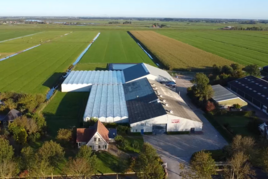 Tuinbouwbedrijf te koop in Noord-Holland: Modern bloembollenbedrijf met woning in Wijdewormer