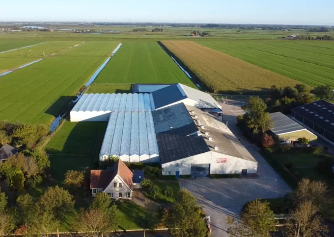 Tuinbouwbedrijf te koop in Noord-Holland: Modern bloembollenbedrijf met woning in Wijdewormer
