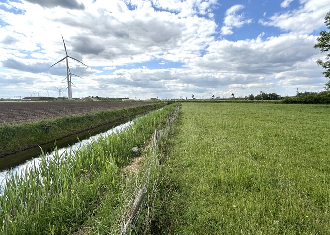 Losse grond te koop in Gelderland: Cultuurgrond hoek De Pekdel – Markkade, Waardenburg