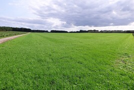 Losse grond te koop in Utrecht: Cultuurgrond nabij Autoweg, Rhenen