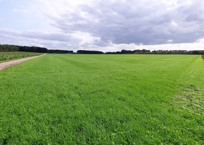 Losse grond te koop in Utrecht: Cultuurgrond nabij Autoweg, Rhenen