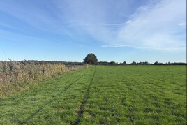 Losse grond te koop in Noord-Brabant: Heerlesebaan, Bergen op Zoom