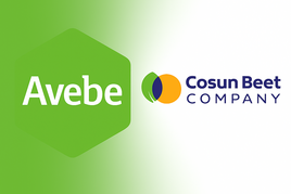 Losse grond te koop in Drenthe: LLB en aandelen AVEBE