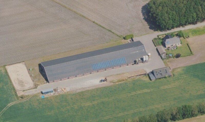 Vleeskalveren te koop in Overijssel: Raamsweg 19, Haarle