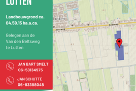 Losse grond te koop in Overijssel: Van Den Beltsweg ong, Lutten