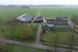 Melkveehouderijbedrijf te koop in Gelderland: Kruisweg 1-3, Buurmalsen