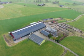 Melkveehouderijbedrijf te koop in Overijssel: Kappeweg 21, Wijhe