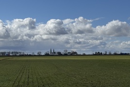 Losse grond te koop in Overijssel: Cultuurgrond nabij Chalmotweg ongenummerd te Kamperveen
