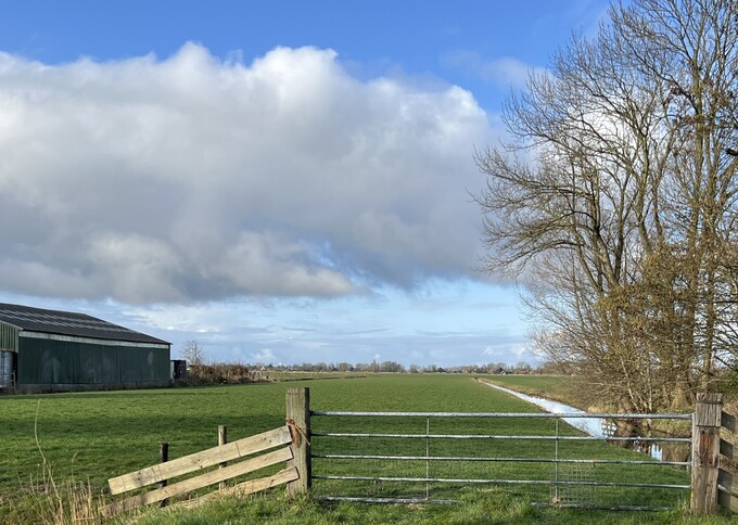 Losse grond te koop in Noord-Holland: Weiland te Hoogwoud 