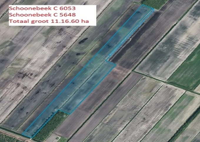 Losse grond te koop in Drenthe: Berkenlaan Schoonebeek