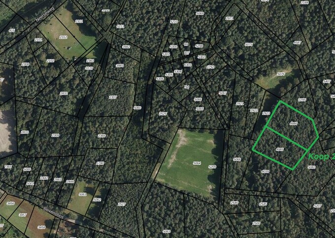 Losse grond te koop in Limburg: Helden-Panningen-Maasbree - Noord Limburg diverse percelen bosgrond