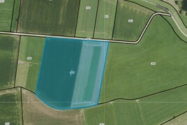 Losse grond te koop in Gelderland: Hedel, Maasdijk