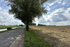 Losse grond te koop in Gelderland: Cultuurgrond nabij De Broekakkers en Nieuwslag, Elst