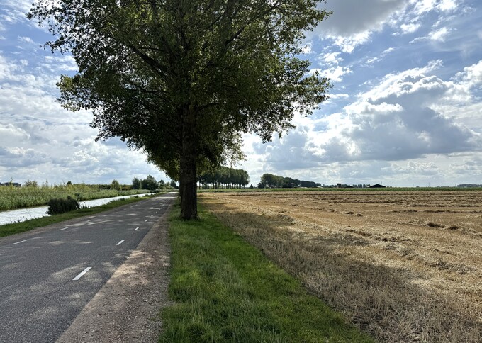 Losse grond te koop in Gelderland: Cultuurgrond nabij De Broekakkers en Nieuwslag, Elst