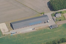 Vleeskalveren te koop in Overijssel: Raamsweg 19, Haarle