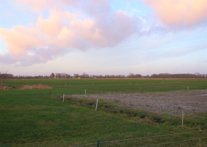 Akkerbouwbedrijf te koop in Gelderland: Maasdijk 132, Aalst