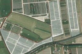 Losse grond te koop in Gelderland: Tolsestraat ong, Opheusden