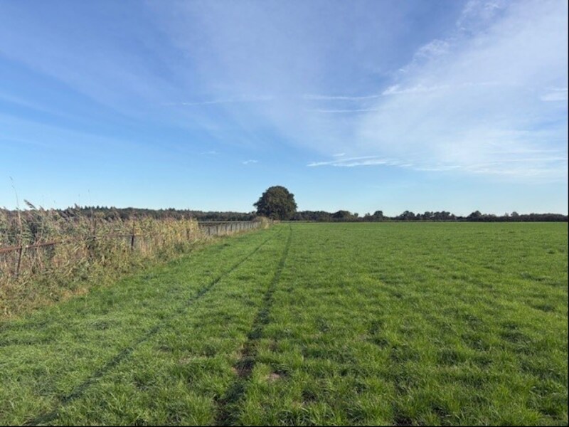 Losse grond te koop in Noord-Brabant: Heerlesebaan ong, Bergen Op Zoom
