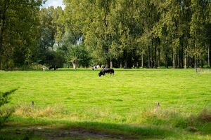 Landelijk-wonen Oost Overijssel